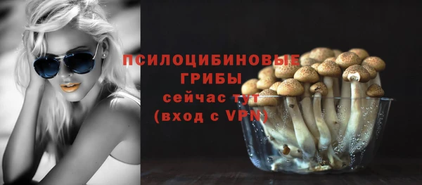 PSILOCYBIN Бородино