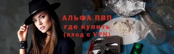 гидра Волоколамск