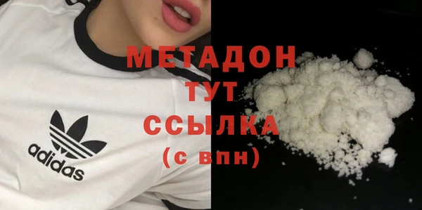 PSILOCYBIN Бородино
