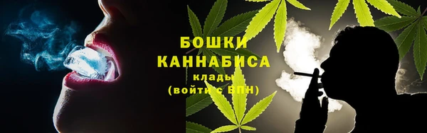амф Володарск