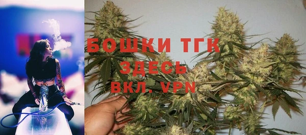 PSILOCYBIN Бородино