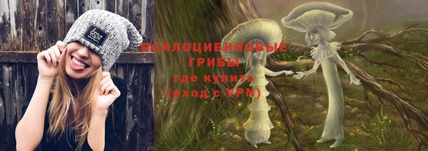 гидра Волоколамск