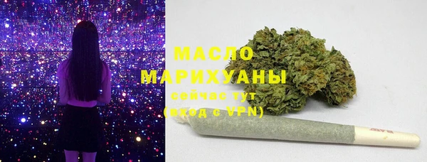 крисы Богородск